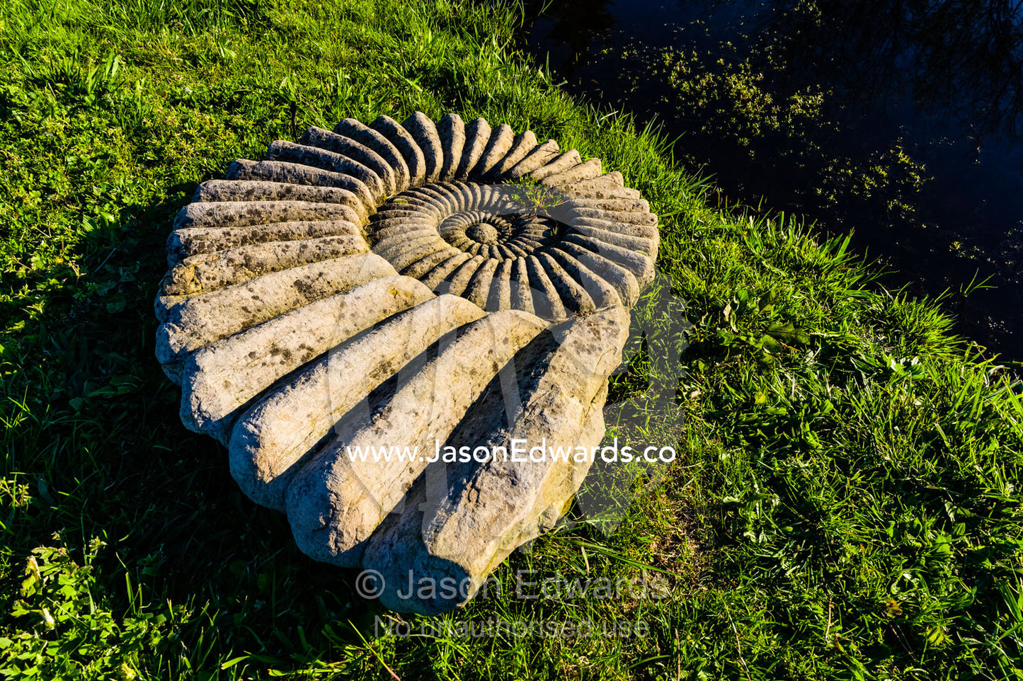 A giant stone ammonite fossil lying in a garden. Devon Meadows, Melbourne, Victoria, Australia.