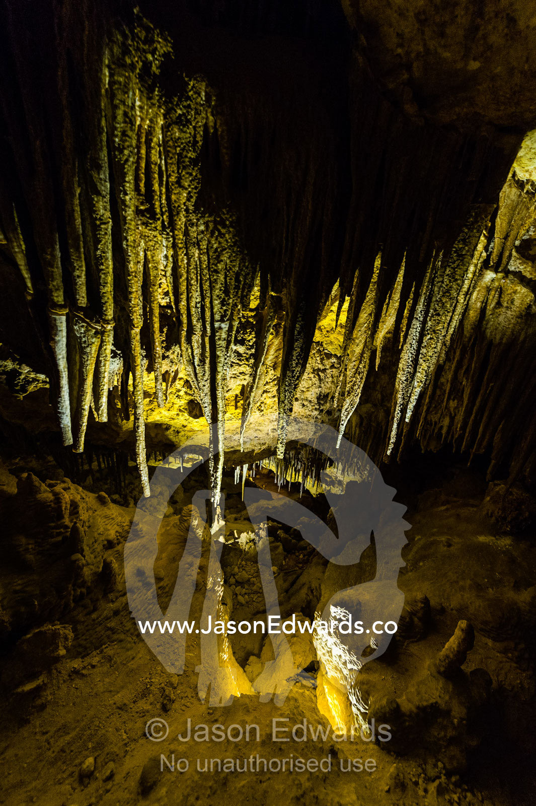 Spectacular stalactites and stalagmites formed by water and mineral deposits decorate the caves. Naracoorte Caves National Park, South Australia, Australia.