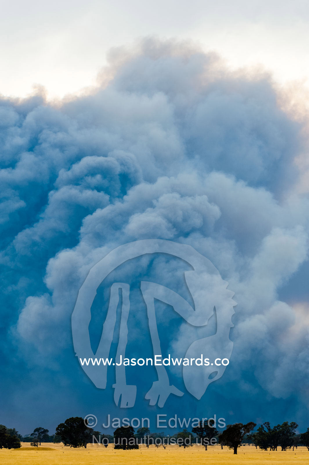 The billowing plume of smoke of a grassfire rises into the sky above farmland. Edenhope, Victoria, Australia.