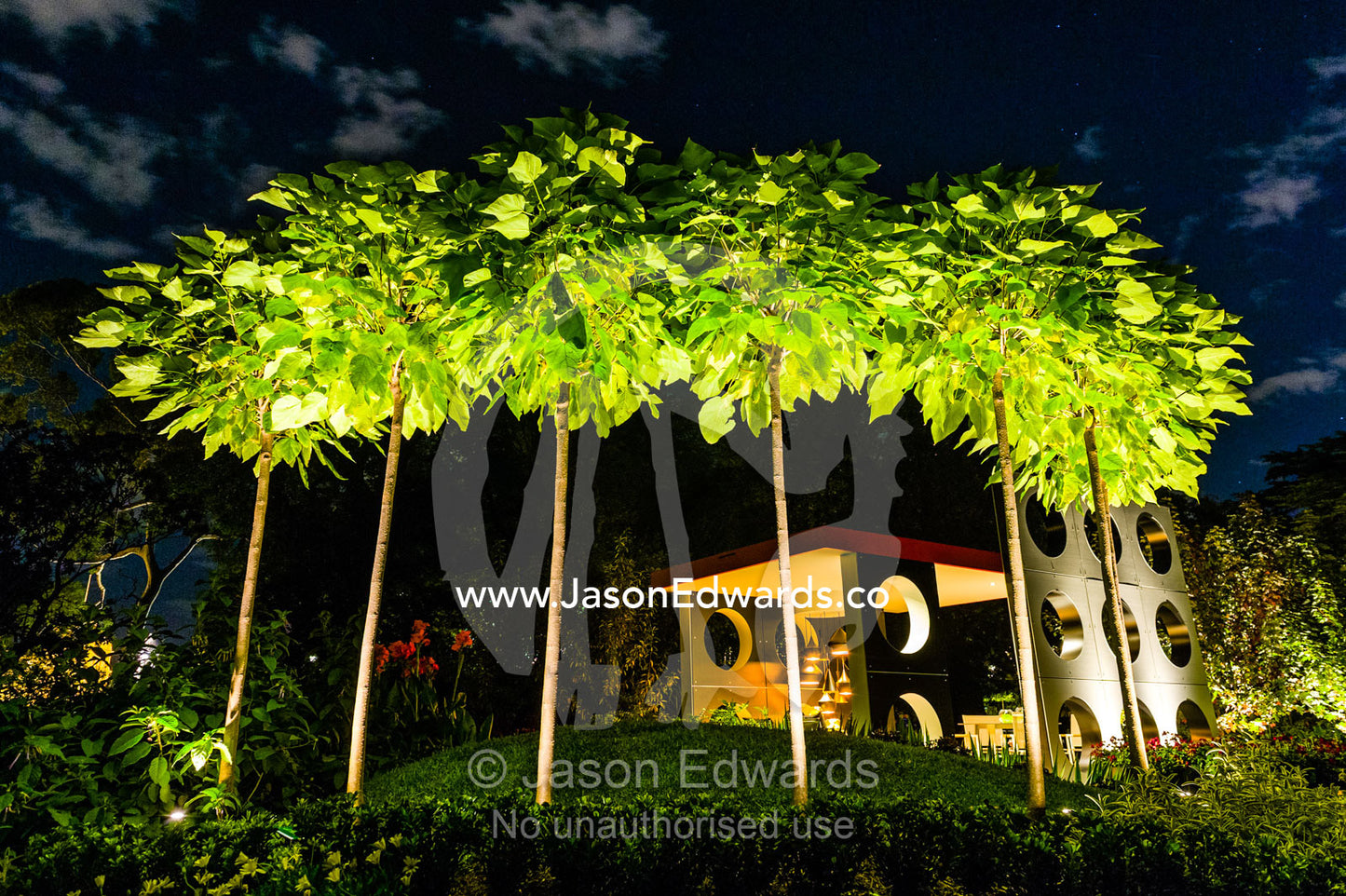 An architecturally designed garden setting with pruned trees and spotlights at a garden show. Melbourne International Flower and Garden Show, Carlton Gardens, Carlton, Melbourne, Victoria, Australia.