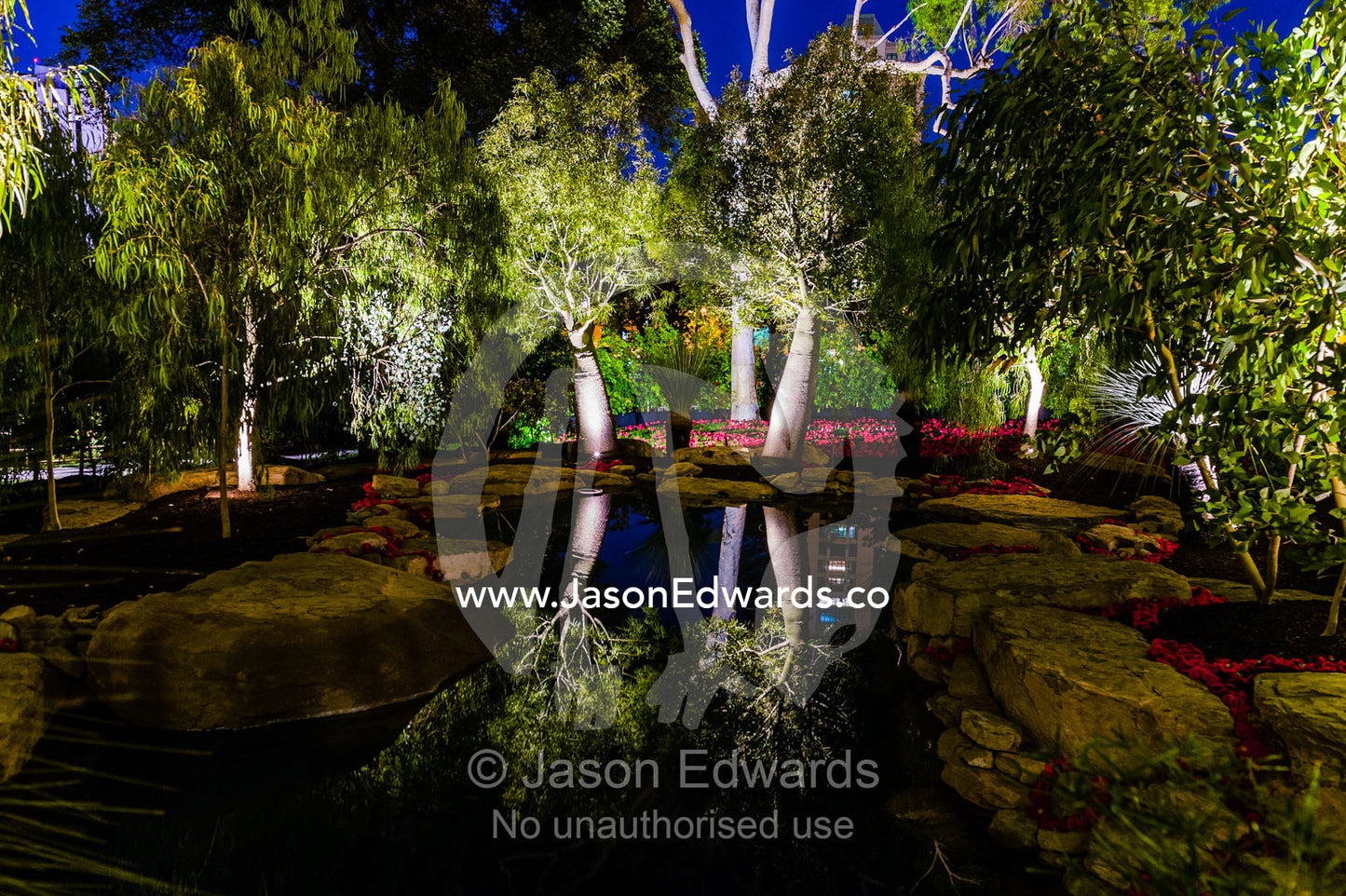 Spotlights illuminate Boab trees reflected in an architecturally designed garden pond at a garden show. Melbourne International Flower and Garden Show, Carlton Gardens, Carlton, Melbourne, Victoria, Australia.