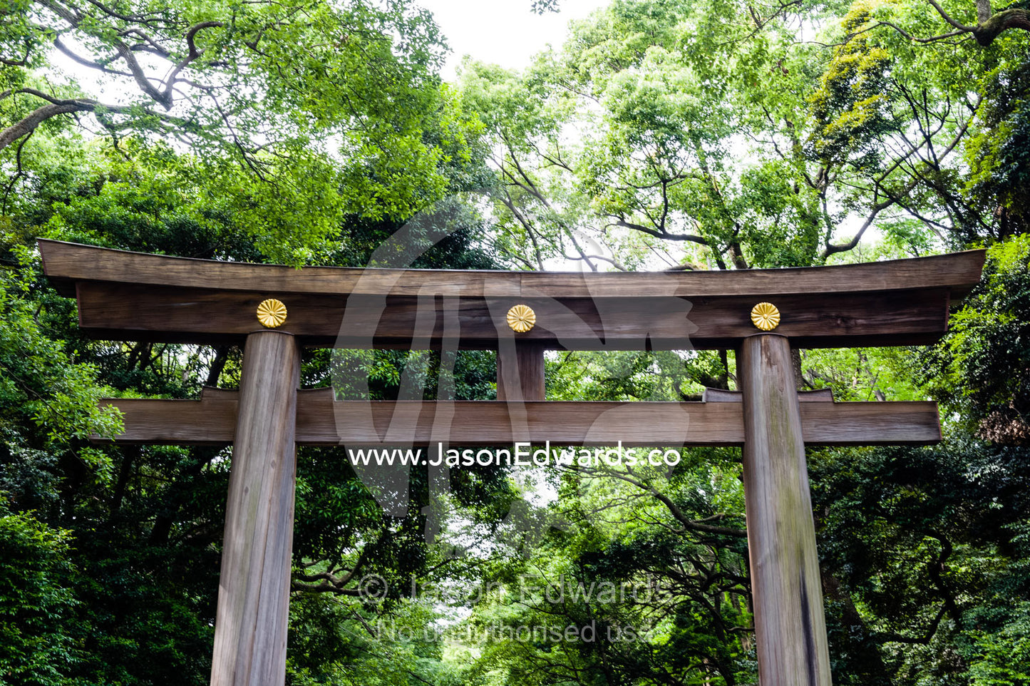 A torii is a traditional Japanese gate found at the entrance of or within a Shinto shrine, where it symbolically marks the transition from the profane to the sacred. Meiji Shrine, Shinto Shrine, Shibuya, Tokyo, Japan.