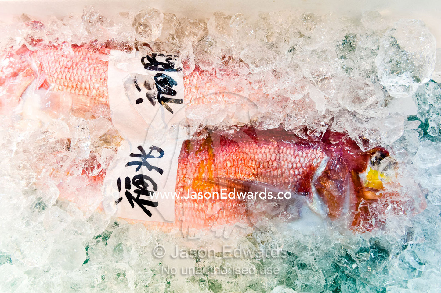 A bright red fish placed in ice for sale in a fish market. Tsukiji Market, Tsukiji, Chuo, Tokyo.