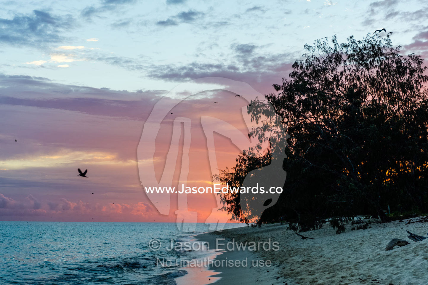 Dawn rises over a beach on a tropical island. North Beach, Heron Island, Great Barrier Reef, Queensland, Australia.