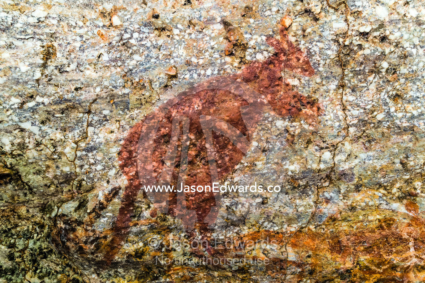 An Aboriginal rock painting art incline gallery featuring a kangaroo. Burrunggui, Nourlangie Rock, Arnhem Land, Kakadu National Park, Northern Territory, Australia.
