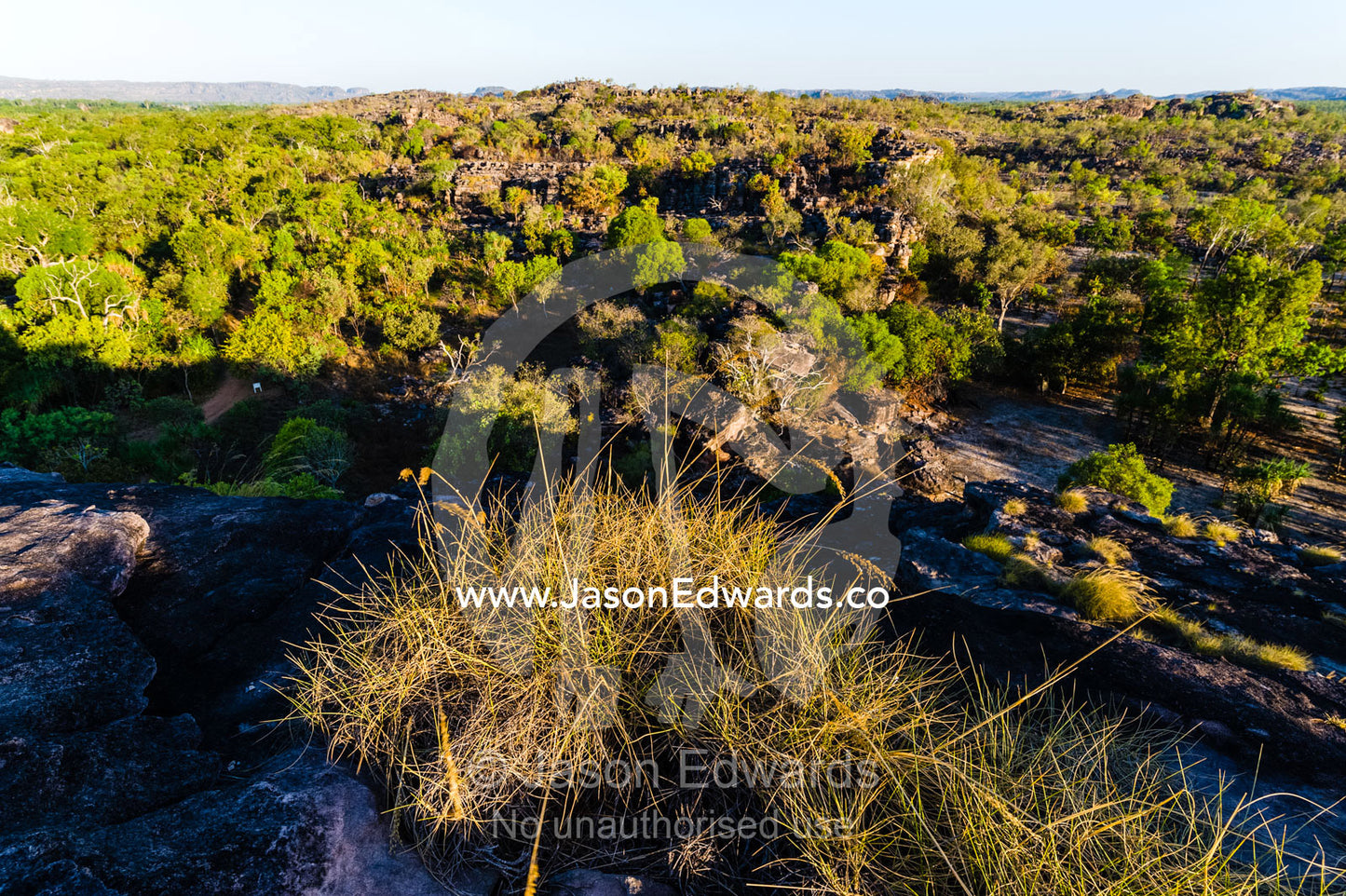 A Spinifex colony overlooking a rugged Kombilgie sandstone stone country at sunset Ubirr, Kakadu National Park, Northern Territory, Australia.