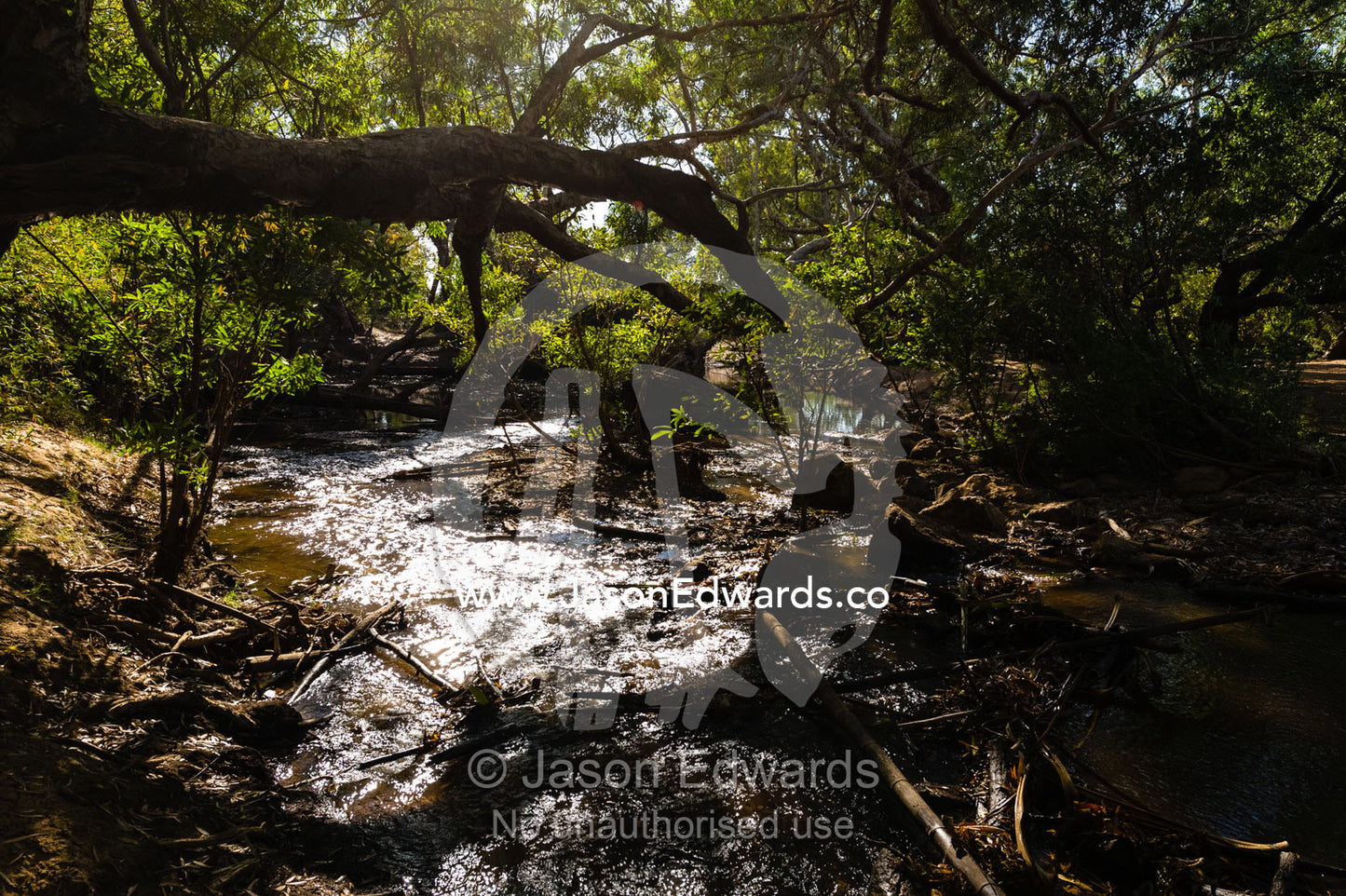 A small river flows between dense cover near a Saltwater Crocodile breeding area. Kakadu National Park, Northern Territory, Australia.