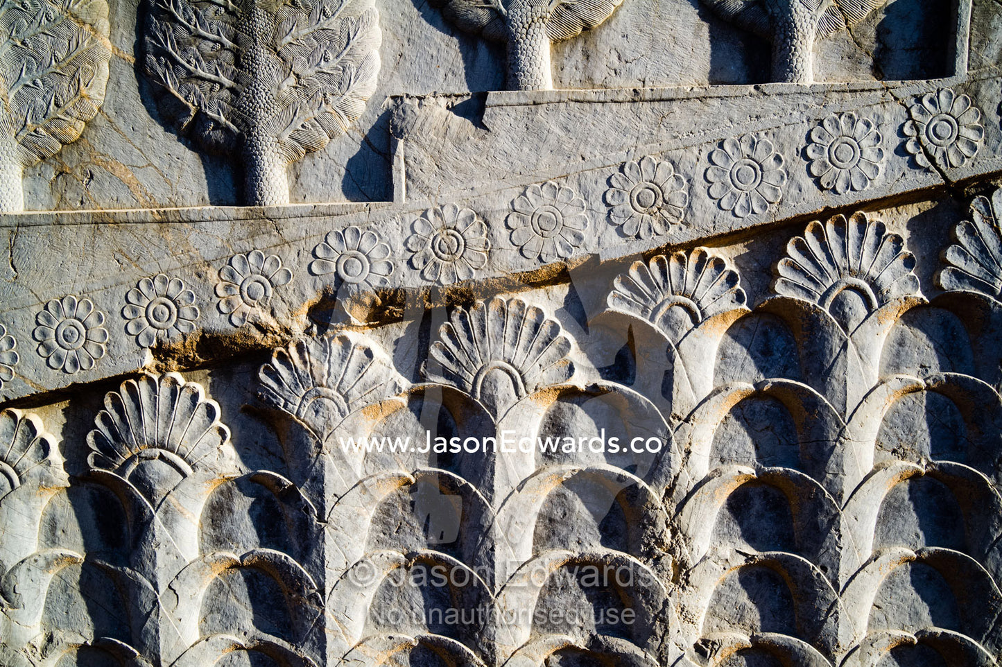 A limestone frieze of lotus flowers and cypress trees carved into a stone wall at Persepolis. Persepolis, Shiraz, Fars Province, Islamic Republic of Iran.
