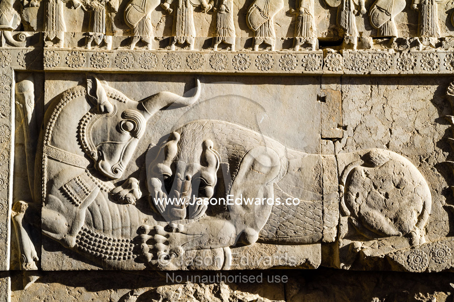 A limestone frieze of a lion battling a bull carved into a stone wall at Persepolis. Persepolis, Shiraz, Fars Province, Islamic Republic of Iran.
