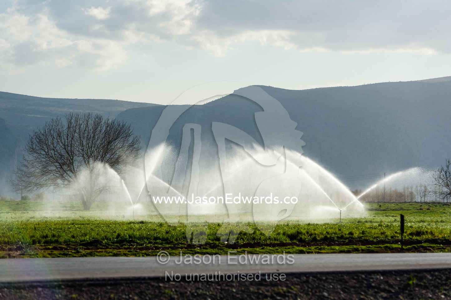 A curtain of water from a sprinkler irrigating a green crop. Fars Province, Islamic Republic of Iran.