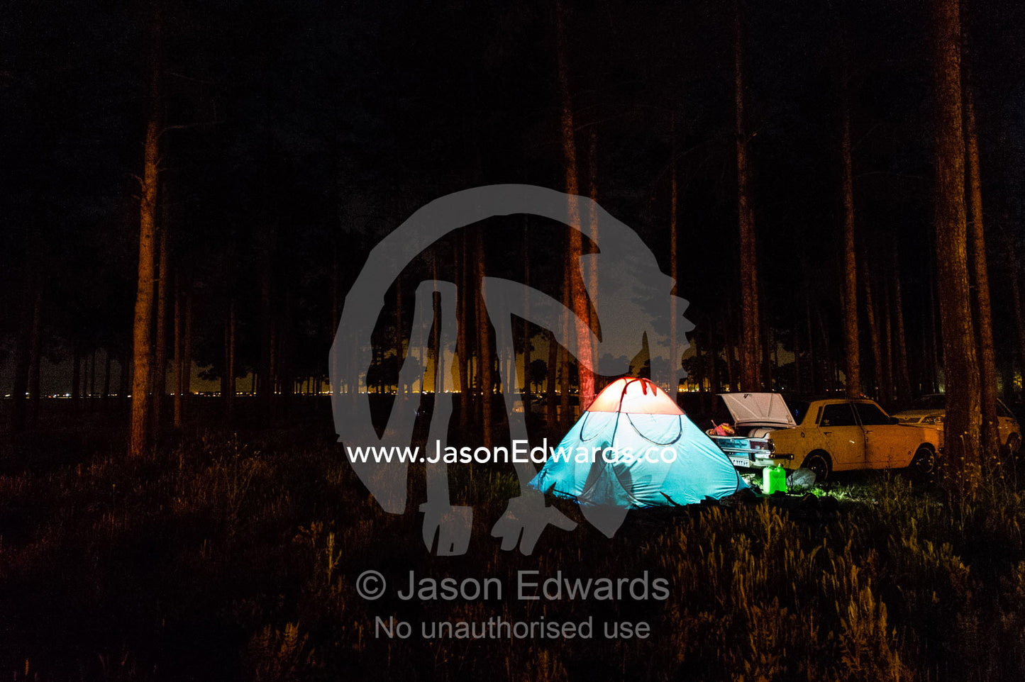 People camping among the trees near the ruins of Persepolis at Nowruz Iranian New Year. Persepolis, Shiraz, Fars Province, Islamic Republic of Iran.