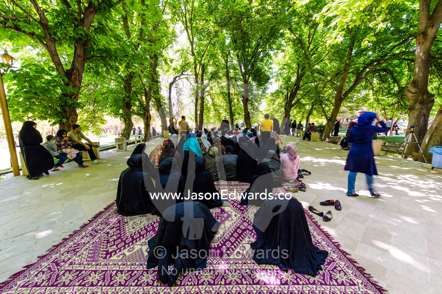 A group of women offering prayer on a carpet beneath shady trees. Eram Garden, Shiraz, Fars Province, Islamic Republic of Iran.