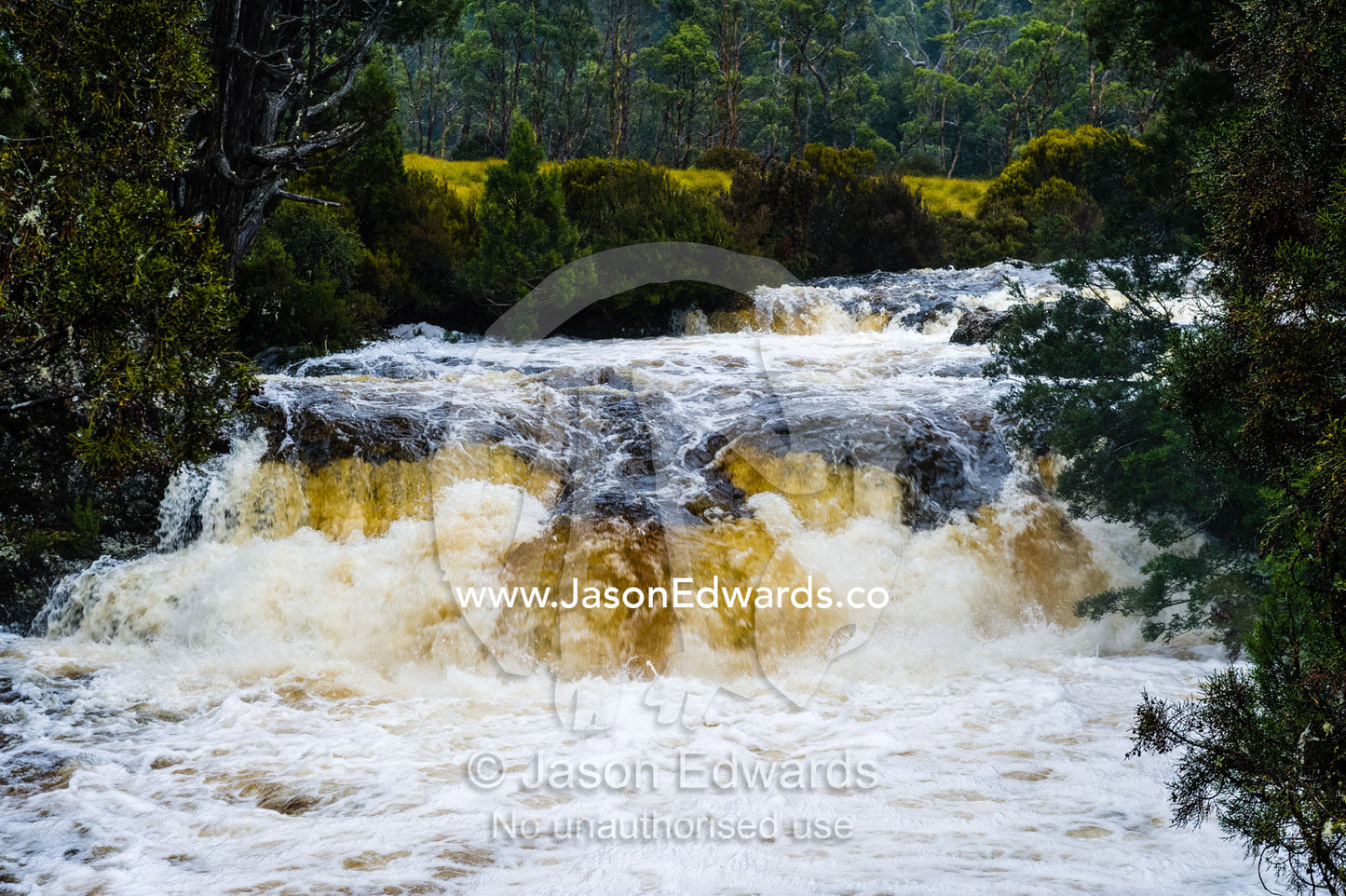 A swollen river cascades over a waterfall during a rainstorm. Cradle Mountain, Lake St Clair National Park, Tasmania, Australia.