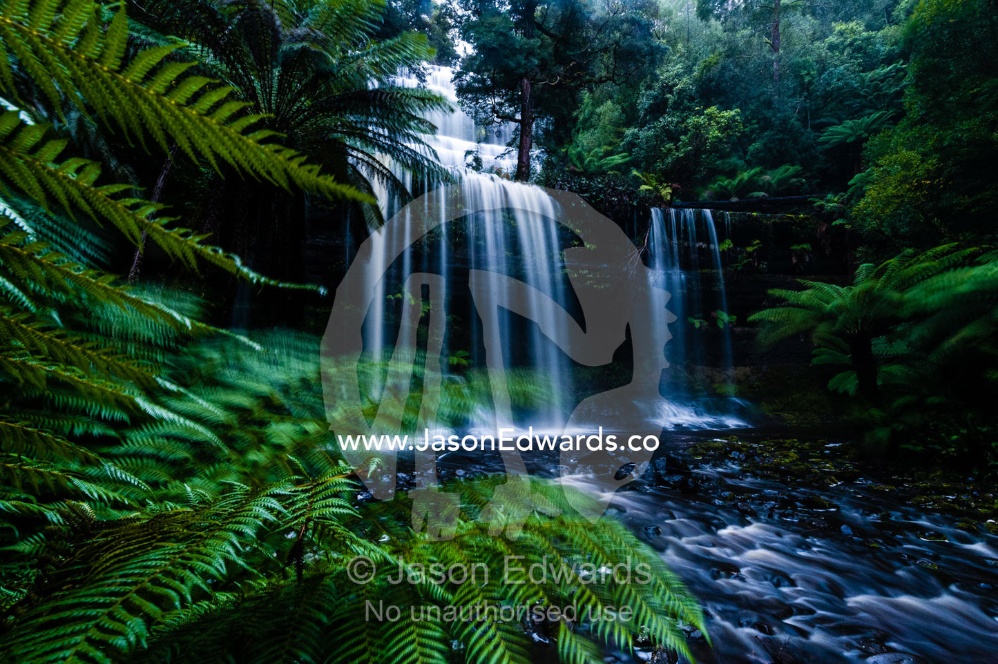 A misty curtain of water cascades down a tiered waterfall in a cool temperate rainforest. Mount Field National Park, Tasmania, Australia.