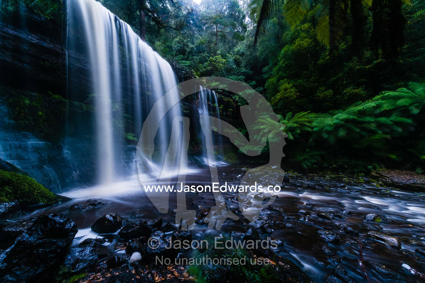 A misty curtain of water cascades down a tiered waterfall in a cool temperate rainforest. Mount Field National Park, Tasmania, Australia.