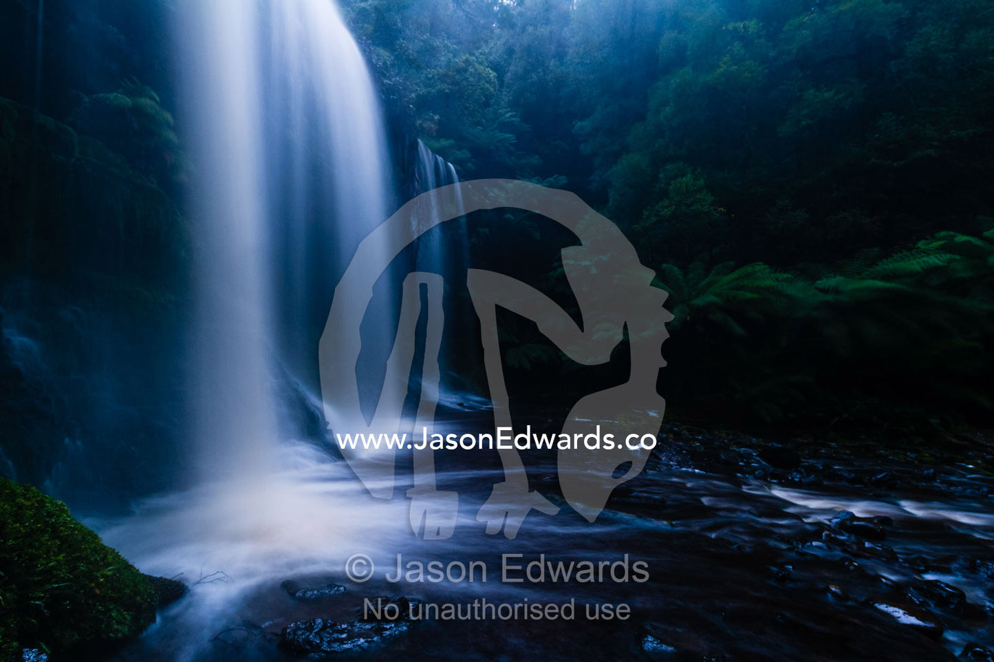 A misty curtain of water cascades down a tiered waterfall in a cool temperate rainforest. Mount Field National Park, Tasmania, Australia.