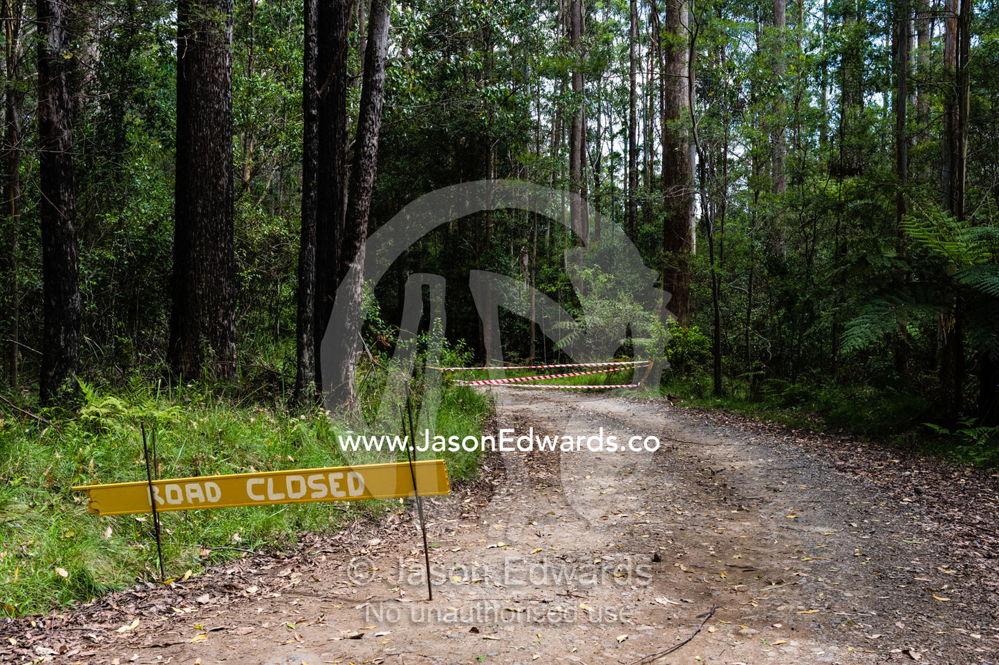 Emergency services road closed sign on a forest track during bushfires. Gibraltar Range National Park, New South Wales, Australia.