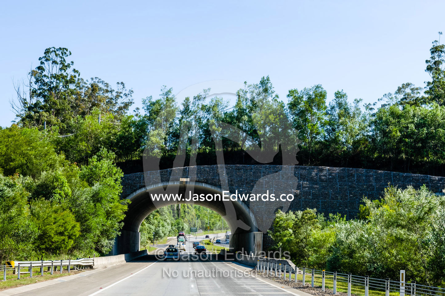A wildlife overpass above a highway enables animals to cross safely. The Pacific Highway, near Ulmarra, New South wales, Australia.