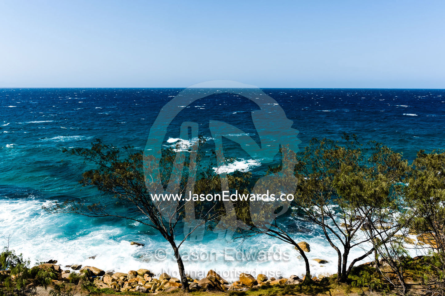 Sheoak trees looking over waves breaking on a rocky shoreline. Trial Bay Goal, Arakoon National Park, New South Wales, Australia.