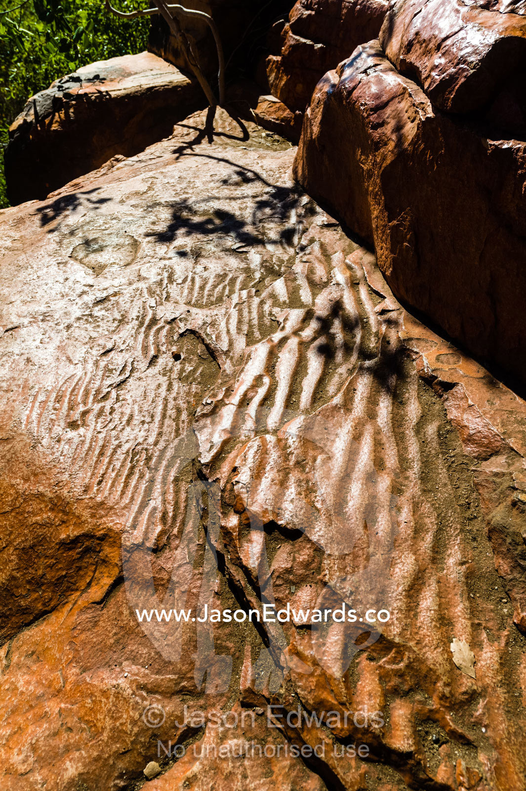Fossil ripple marks on a sandstone ledge on a desert cliff. Raft Point, Doubtful Bay, Buccaneer Archipelago, Kimberley Coast, Western Australia, Australia.