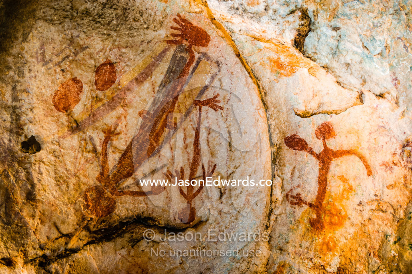 Ancient Aboriginal Gwion Gwion rock paintings also know as Bradshaw rock art featuring a animal figures estimated at 50,000 years old on a cave wall. Jar Island, Vansittart Bay, Kimberley Coast, Western Australia, Australia.