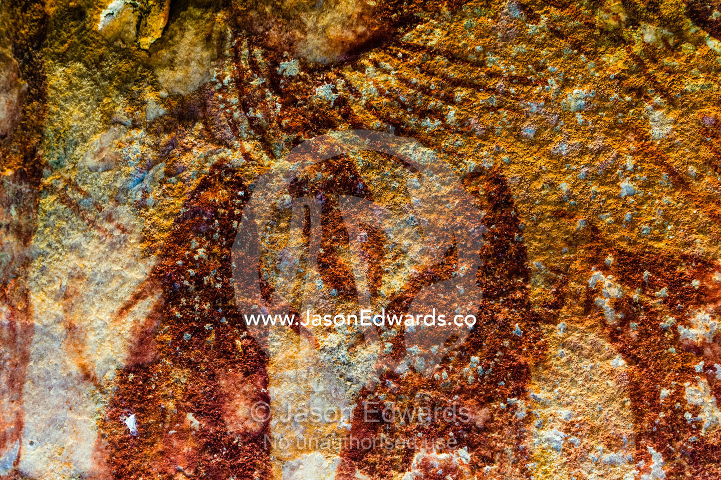 Ancient Aboriginal Gwion Gwion rock paintings also know as Bradshaw rock art featuring a fish figures estimated at 50,000 years old on a cave wall. Jar Island, Vansittart Bay, Kimberley Coast, Western Australia, Australia.