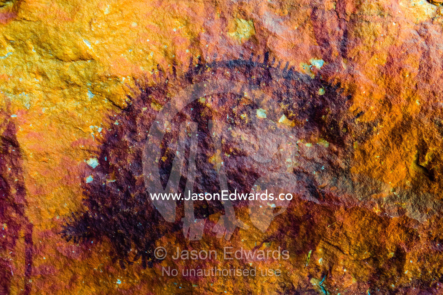 Ancient Aboriginal Gwion Gwion rock paintings also know as Bradshaw rock art featuring an echidna estimated at 50,000 years old on a cave wall. Jar Island, Vansittart Bay, Kimberley Coast, Western Australia, Australia.