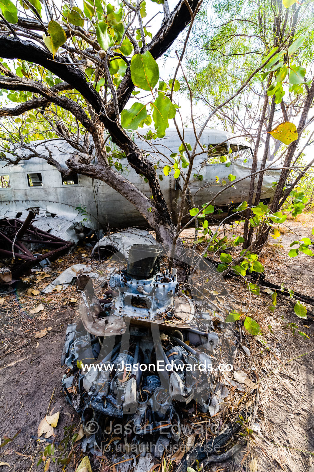 The wrecked engine of a DC-3 in the forest after crashing during WWII. Jar Island, Vansittart Bay, Kimberley Coast, Western Australia, Australia.