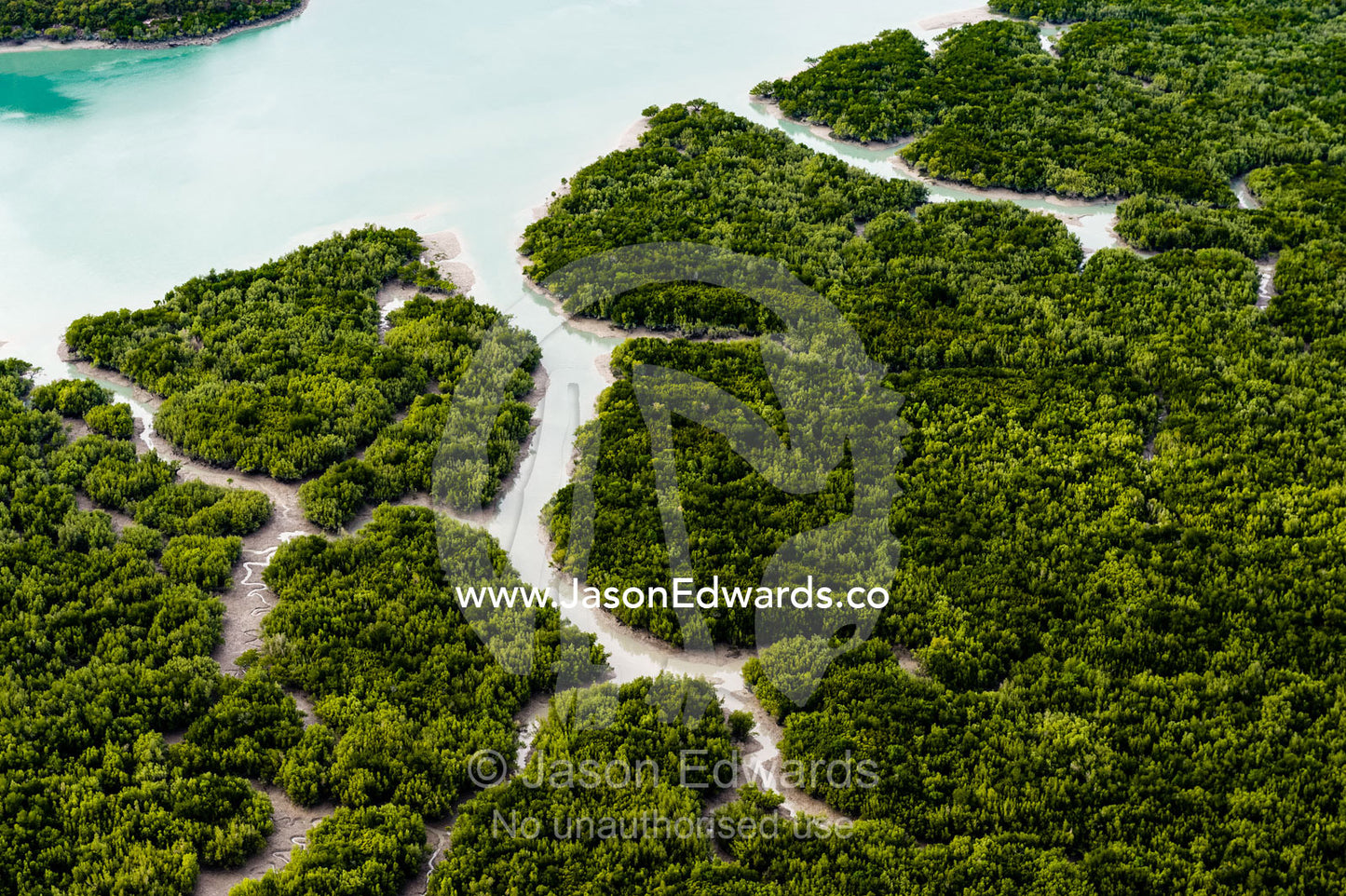 An aerial view of river tidal inlets winding their way through mangrove forests. Mitchell River National Park, Mitchell Plateau, Kimberley Coast, Western Australia, Australia.