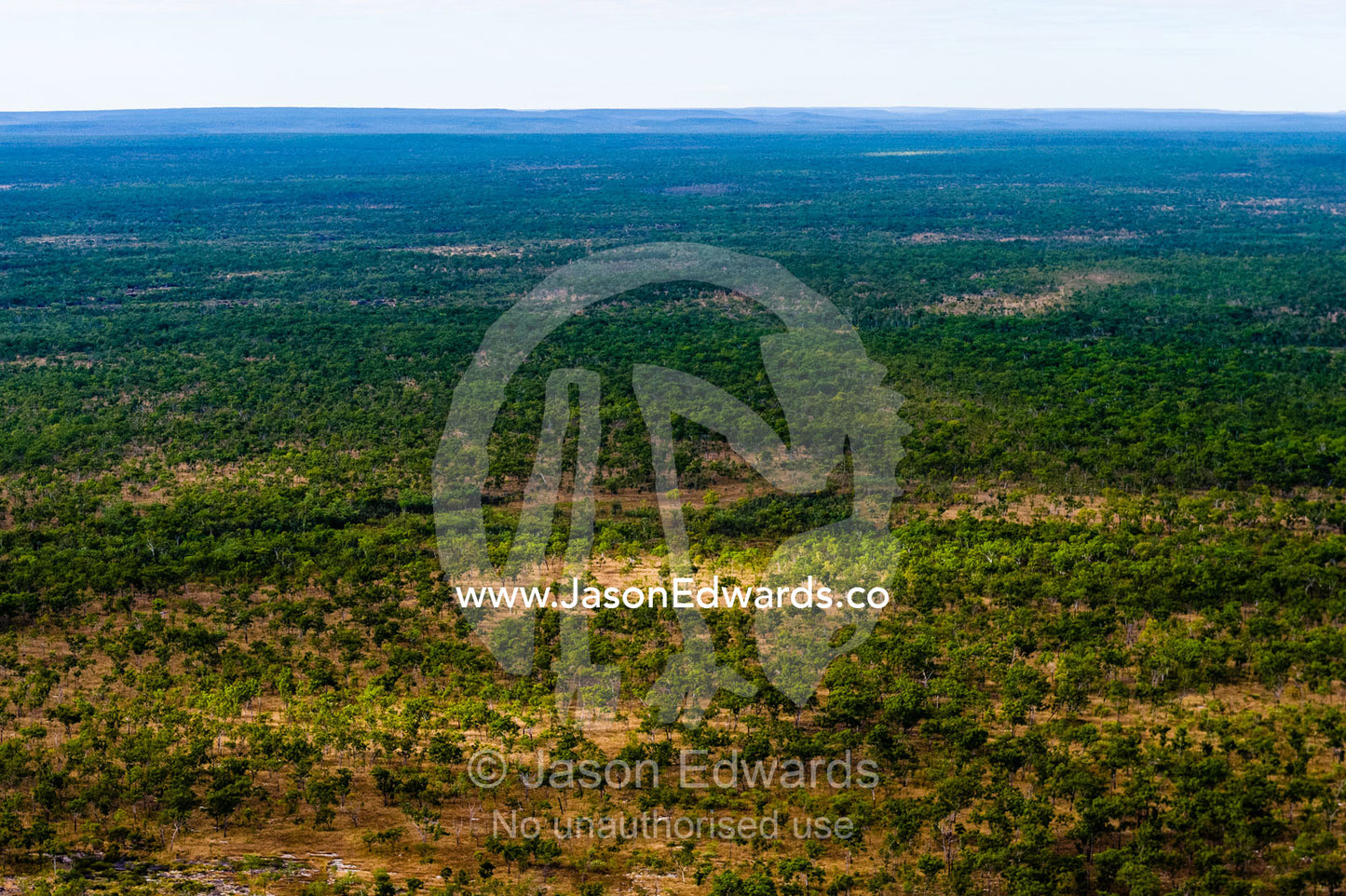 An aerial view of an open woodland on an arid plateau in the Kimberley. Mitchell River National Park, Mitchell Plateau, Kimberley Coast, Western Australia, Australia.