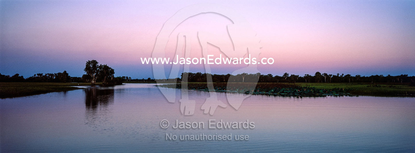 Sunset afterglow falls over a still floodplain in the dry season. Yellow Water Billabong, Cooinda, Kakadu National Park, Northern Territory, Australia.