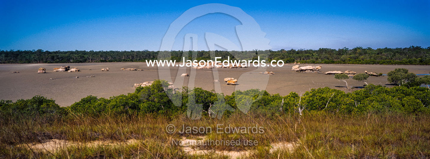 Scattered boulders on a tidal marsh salt flat behind coastal sand dunes and mangroves. Jar Island, Vansittart Bay, Kimberley Coast, Western Australia, Australia.