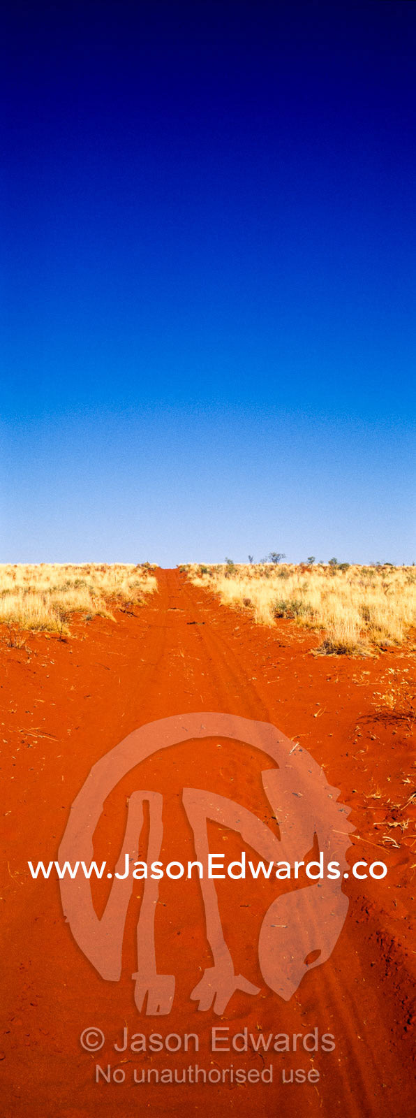 A red sand track passing through spinifex country in the desert. Ipolera Out Station, Hermannsburg, Northern Territory, Australia.