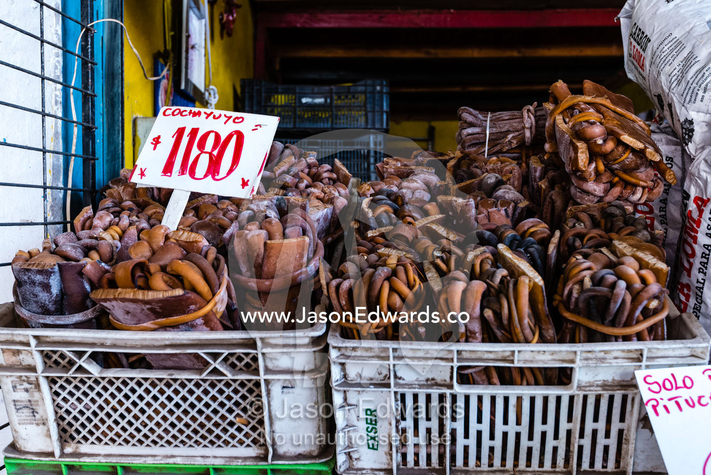 Bull kelp for sale in a market. Santiago, Chile.