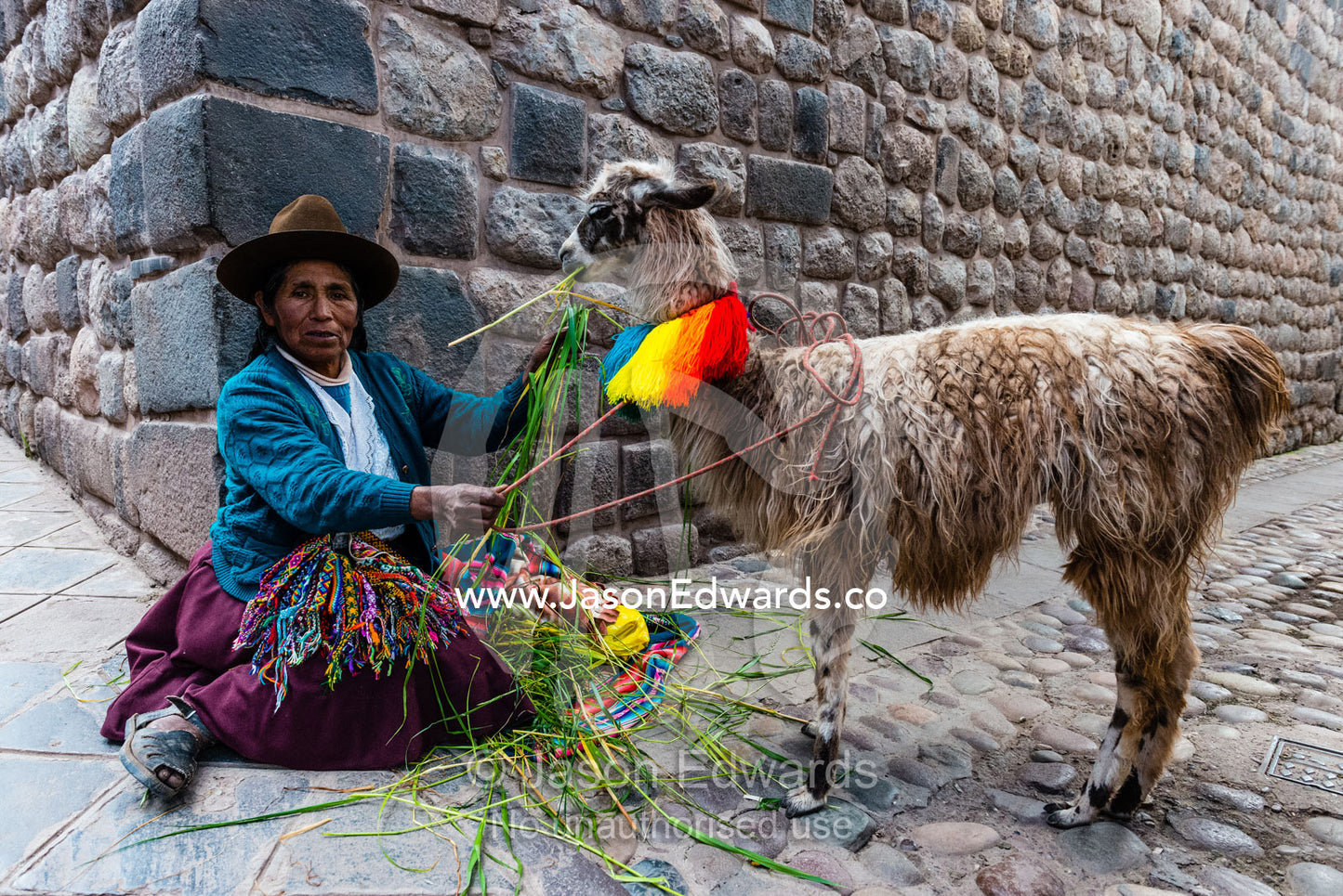 An elderly Inca woman wearing a Montera hat rests against a dry stone wall with her lama. Cusco, Peru.
