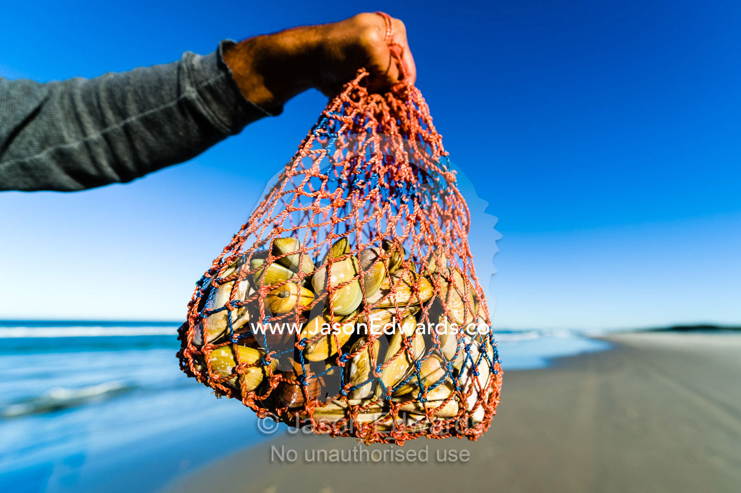 A woven bag carrying bi-valve shells called pipi harvested on a beach. Queensland, Australia.