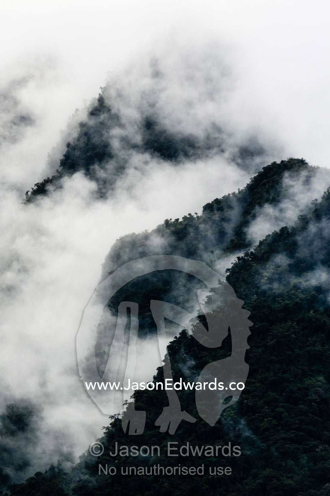 Storm clouds engulf the steep forested slopes and jagged mountain peaks of the Andes. Peru.