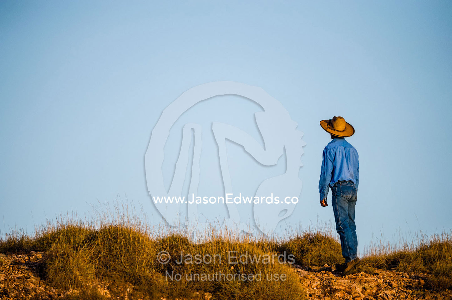 A horseman and farrier searches the desert for wild horse known as brumby. Namatjira, Gilbert Springs, Northern Territory, Australia