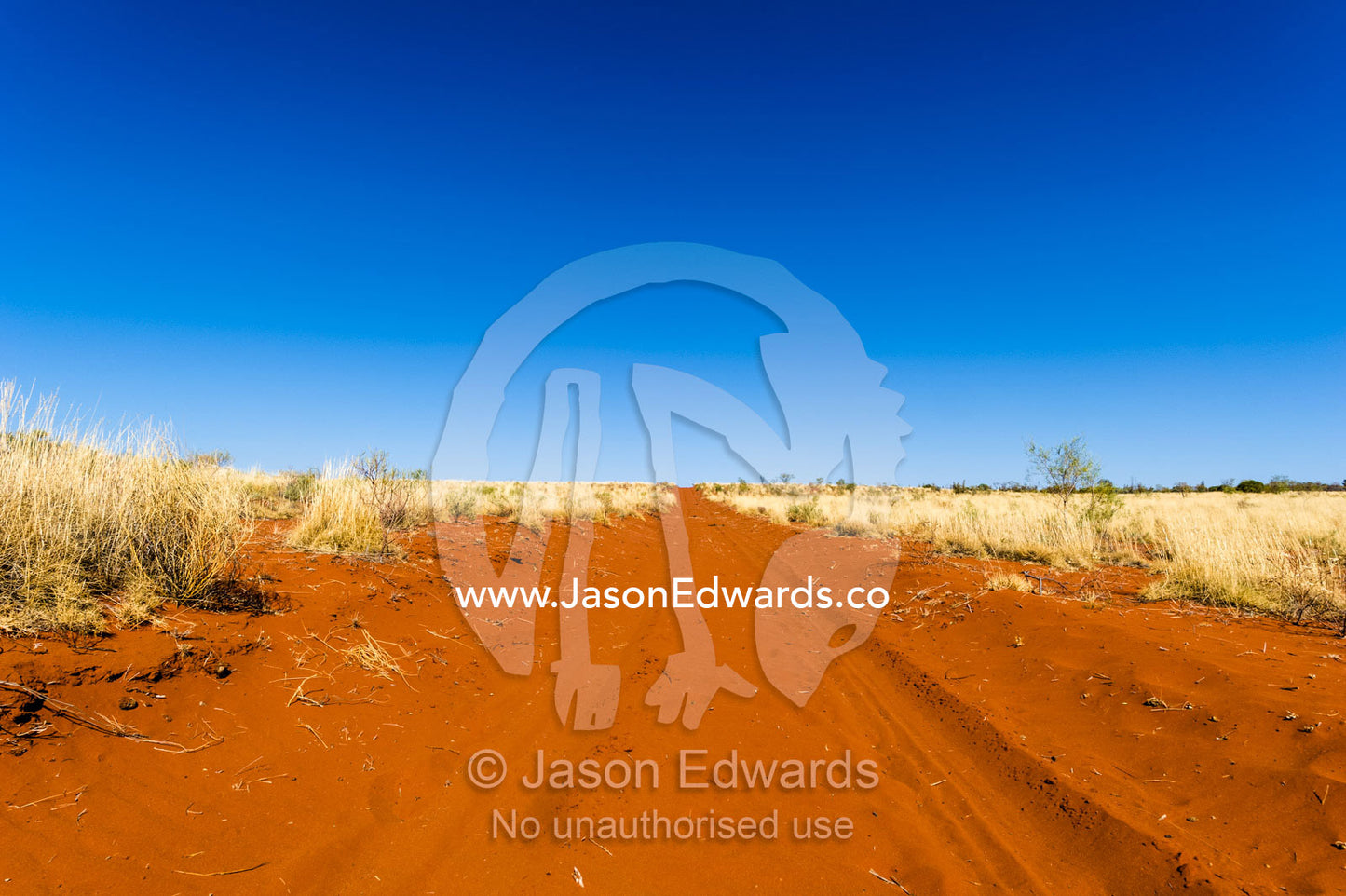 A red sandy track crosses a spinifex plain in the desert on an outback station. Namatjira, Ipolera Out Station, Northern Territory, Australia