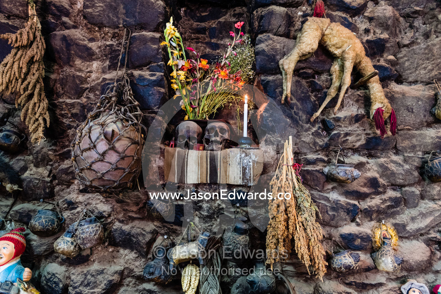 A Quechua home altar with ancestor skulls and offerings including mummified newborn llama. Sacred Valley, Ollantaytambo, Urubamba, Peru