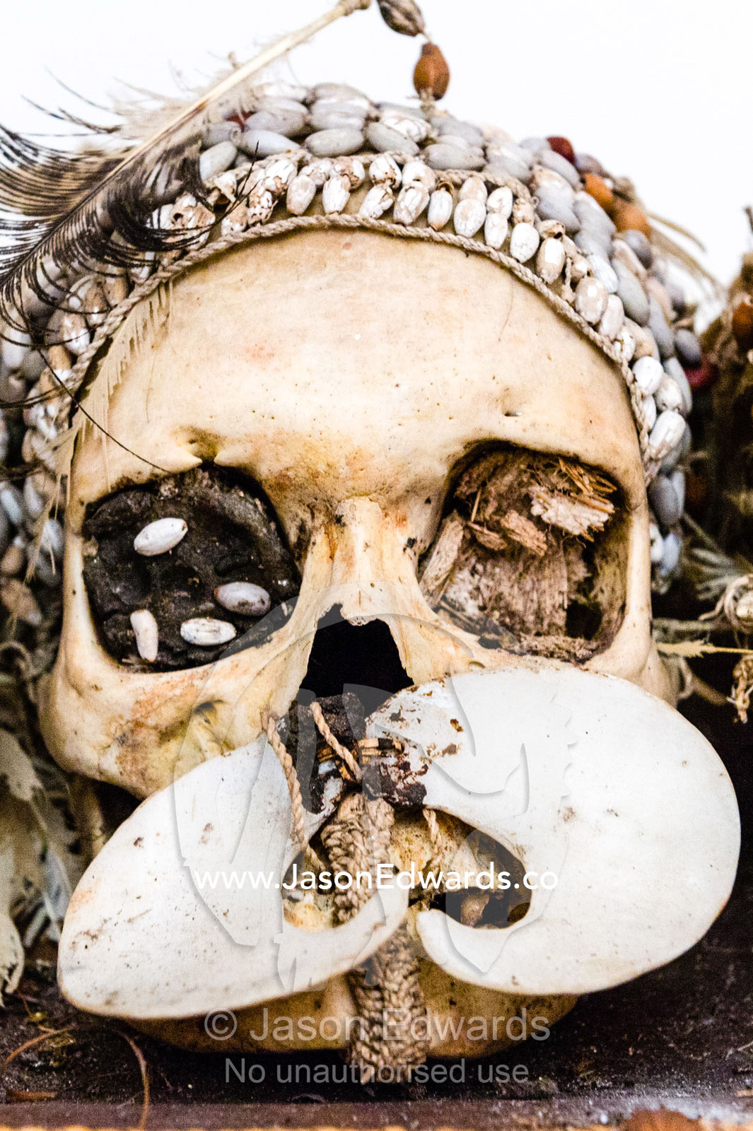 A collection of human skulls captured by Asmat headhunters in a museum in a river town. Agats, Asmat Regency, Papua, Indonesia