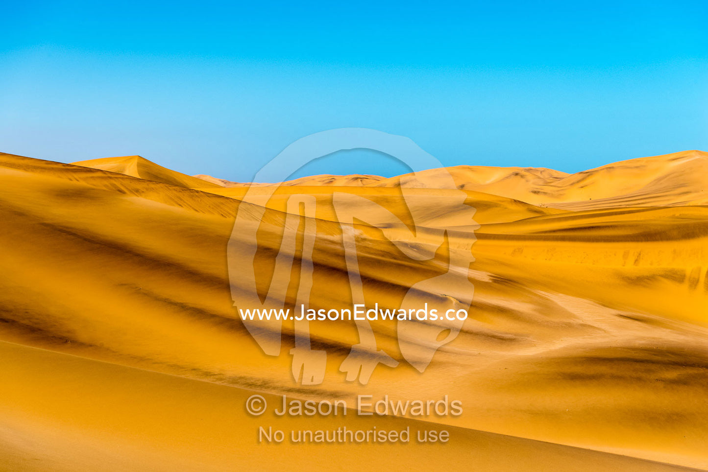A vast ochre sand dune field stretches to the distance beneath a clear blue sky. Namib-Naukluft National Park, Namibia