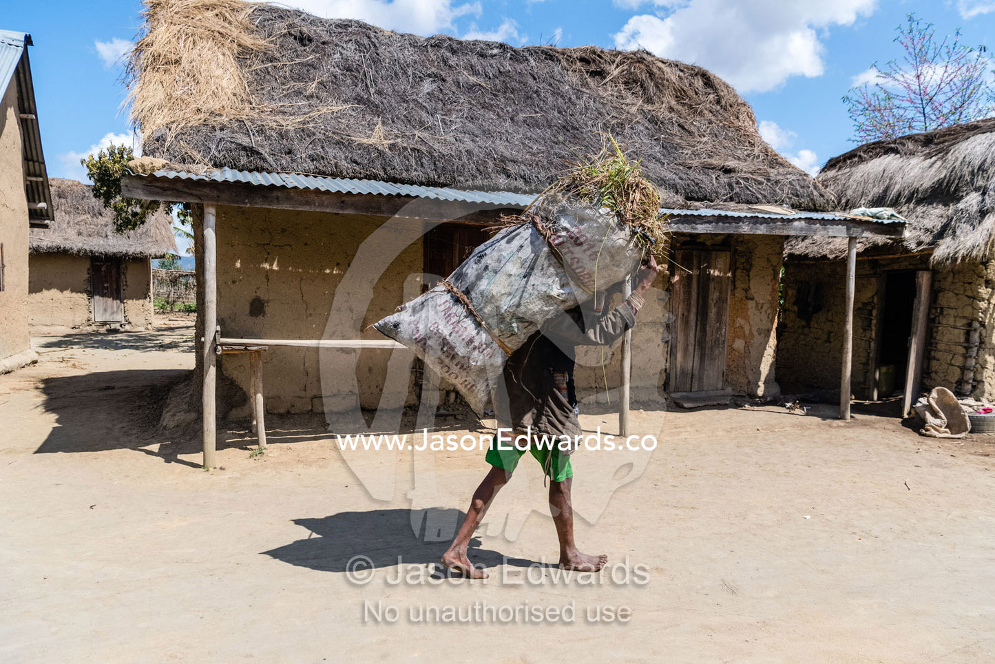 A man carrying a load of reeds harvested from a field on his head to sell in a market. Antananarivo, Madagascar