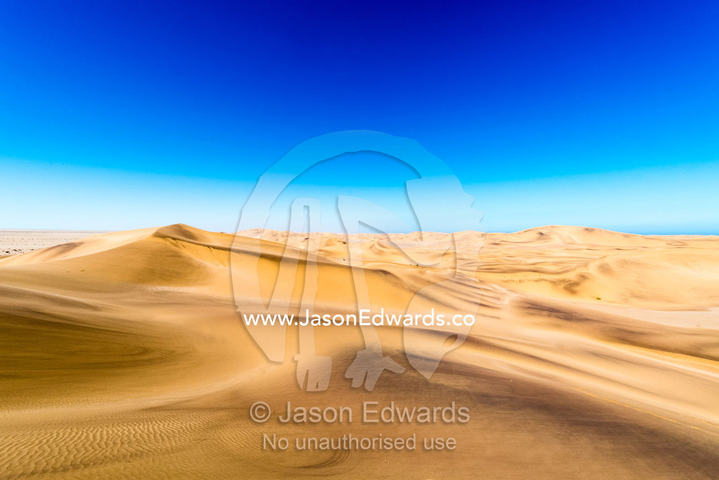A vast ochre sand dune field stretches to the distance beneath a clear blue sky. Namib Desert, Diamond Coast, Skeleton Coast, Namib-Naukluft National Park, Namibia