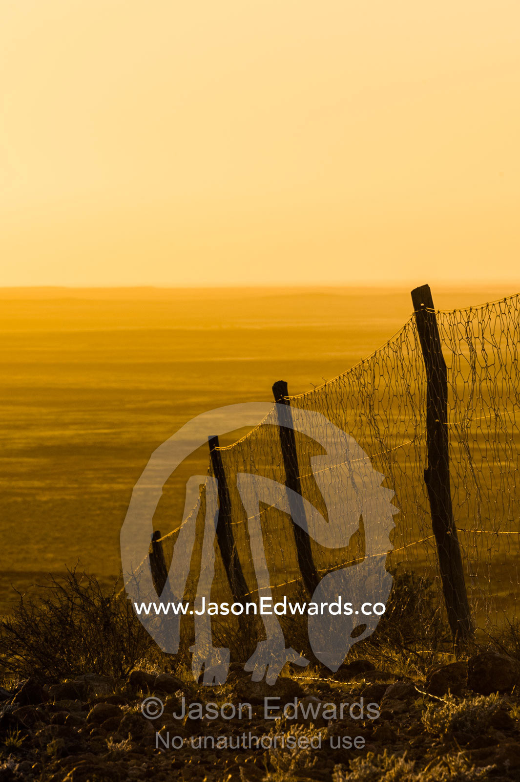 The Dingo Fence or Dog Fence is a pest-exclusion fence built to keep dingo away from sheep farming. Coober Pedy, Dingo Fence, Dog Fence, South Australia, Australia
