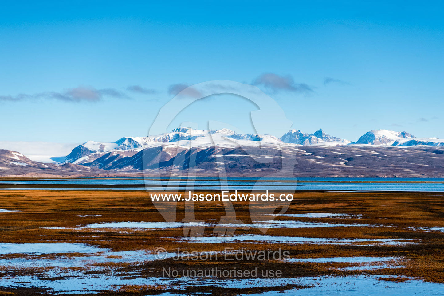 Small alpine pools cover a wetland along the shoreline of an arctic fjord. Constable Point, Hurry Inlet, Scoresby Sound, Greenland