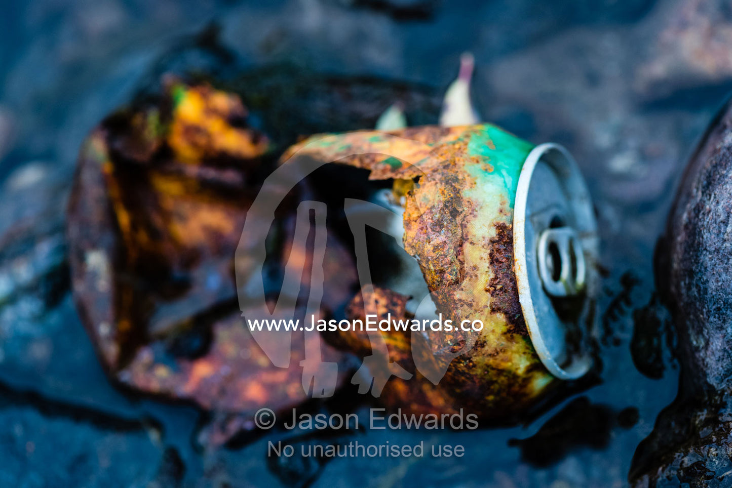 A rusting beer can left as rubbish in a seal hunters hut in the arctic. Denmark Island, Hekla Havn, Scoresby Sound, Greenland
