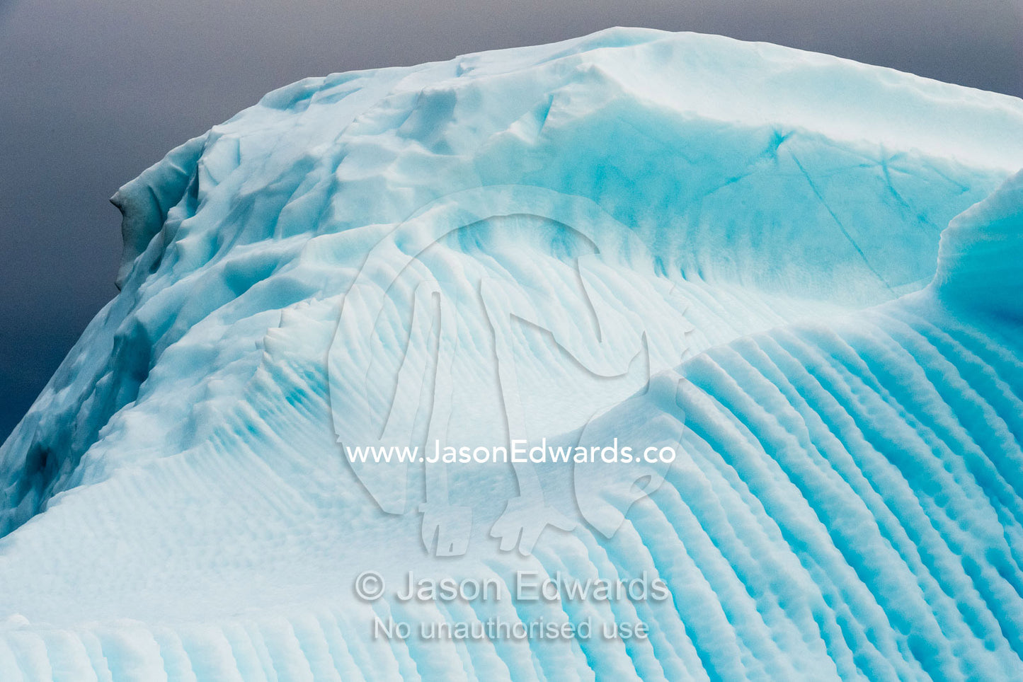 Erosion and pressure ridges carved into the ice on the surface of an iceberg. Denmark Island, Gasepynten, Scoresby Sound, Greenland