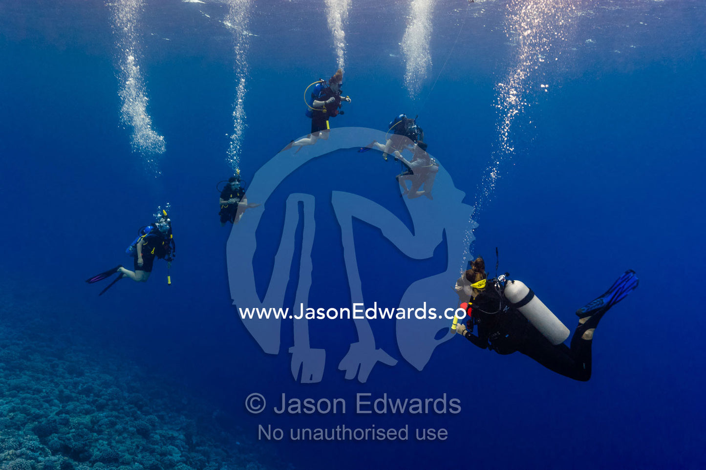 A scuba diving instructor monitors the divers whilst doing a decompression stop. Makatea Atoll, Tuamotu Archipelago, French Polynesia