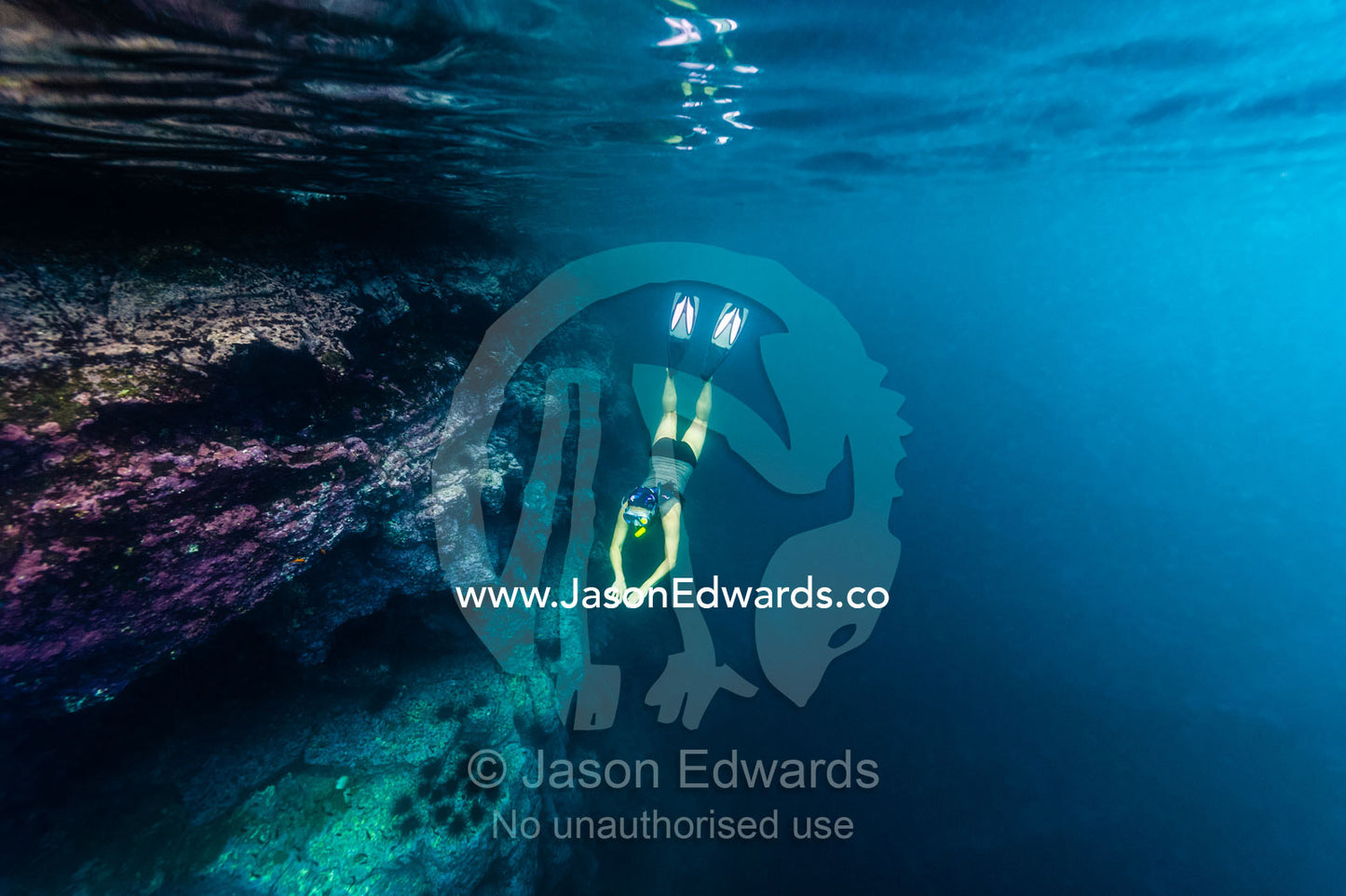 A freediver descends along an undersea volcanic canyon wall with snorkel and fins. Fatu Hiva, Marquesas Islands, French Polynesia